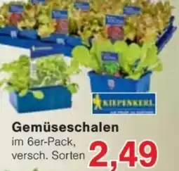 Jawoll Gemüseschalen Angebot