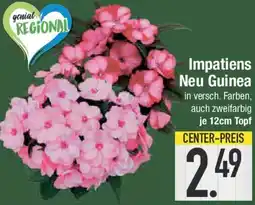 E-Center Impatiens Neu Guinea Angebot