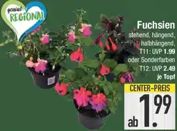 E-Center Fuchsien Angebot