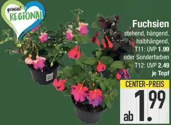 E-Center Fuchsien Angebot