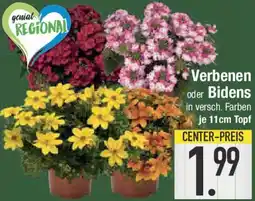 E-Center Verbenen oder Bidens Angebot