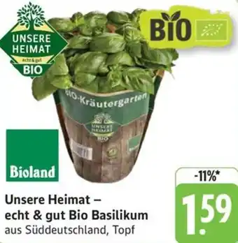 Schmidt's Märkte Unsere Heimat - echt & gut Bio Basilikum Angebot