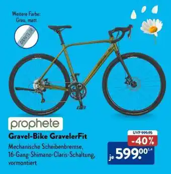Aldi Süd Gravel-Bike GravelerFit Angebot