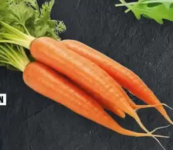 Handelshof Bundmöhren Angebot