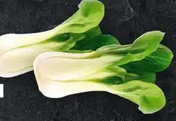 Handelshof Mini Pak-Choi Angebot