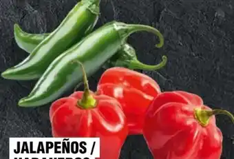 Handelshof Jalapeño Angebot