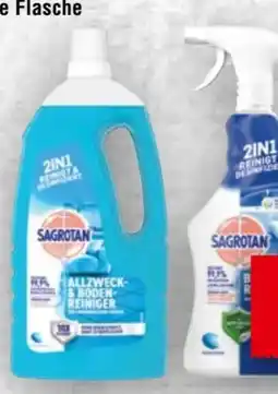Handelshof Sagrotan Reiniger Angebot