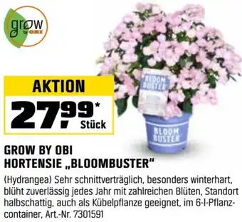 OBI Grow by obi hortensie ,,bloombuster" Angebot