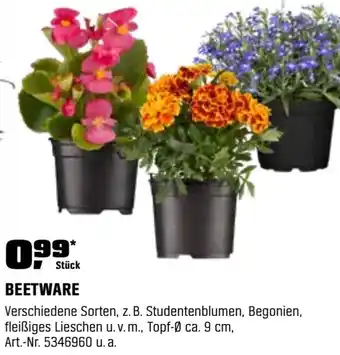 OBI Beetware Angebot