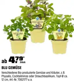 OBI Blu gemüse Angebot