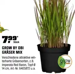 OBI Grow by obi gräser mix Angebot