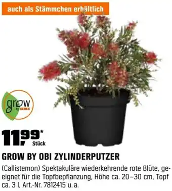OBI Grow by obi zylinderputzer Angebot