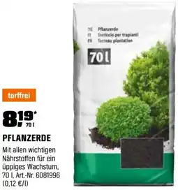 OBI Pflanzerde Angebot