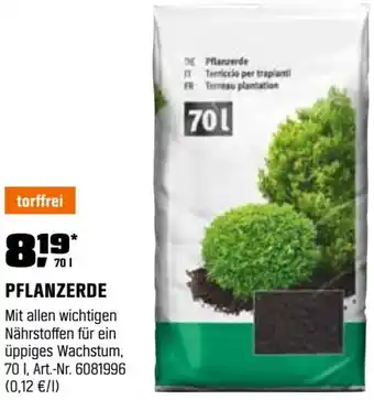 OBI Pflanzerde Angebot