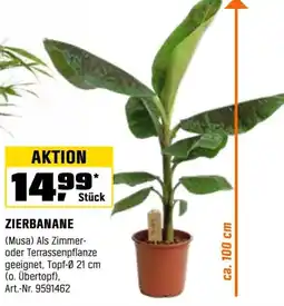 OBI Zierbanane Angebot