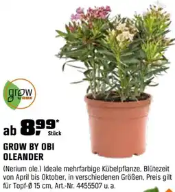 OBI Grow by obi oleander Angebot