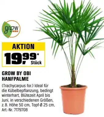 OBI Grow by obi hanfpalme Angebot