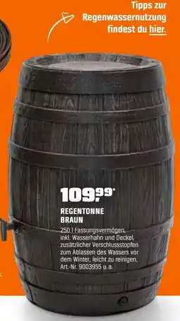 OBI Regentonne braun Angebot