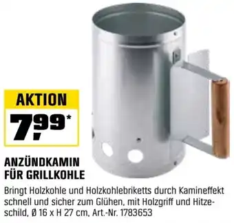 OBI Anzündkamin für grillkohle Angebot