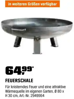 OBI Feuerschale Angebot