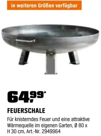 OBI Feuerschale Angebot