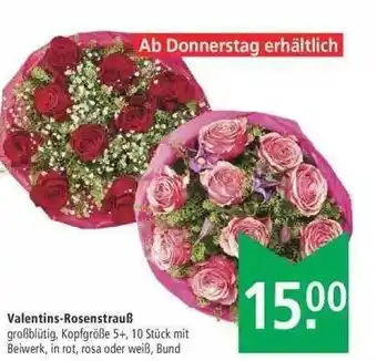 Marktkauf Valentins Rosenstrauß Angebot