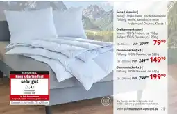 Matratzen Concord Künsemüller serie labrador | Angebot