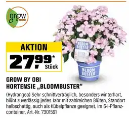 OBI Grow by obi hortensie „bloombuster“ Angebot