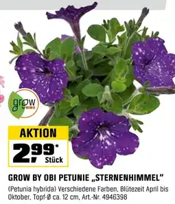 OBI Grow by obi petunie „sternenhimmel“ Angebot