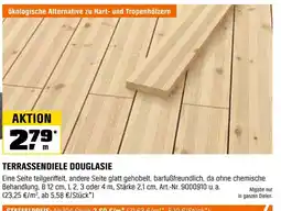 OBI Terrassendiele douglasie Angebot