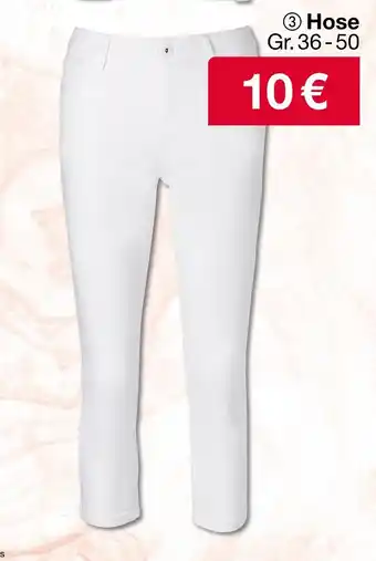 Woolworth Hose Angebot