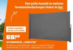 OBI Livingston seitenmarkise Angebot