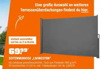 OBI Livingston seitenmarkise Angebot