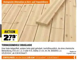 OBI Terrassendiele douglasie Angebot