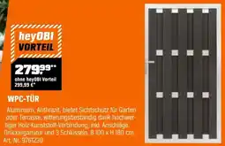 OBI WPC-Tür Angebot