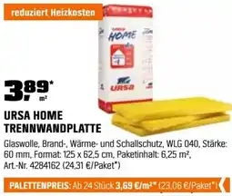 OBI Ursa home trennwandplatte Angebot