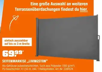 OBI Seitenmarkise ,,livingston" Angebot