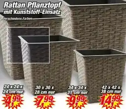 Posten Börse Rattan Pflanztopf Angebot