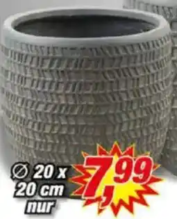 Posten Börse Blumentopf Kinza Angebot