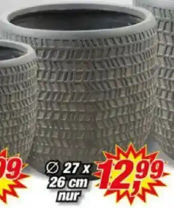 Posten Börse Blumentopf Kinza Angebot