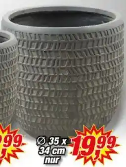Posten Börse Blumentopf Kinza Angebot