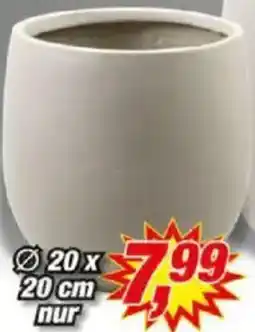 Posten Börse Blumentopf ,,Armin" Angebot