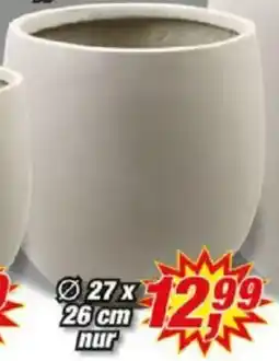 Posten Börse Blumentopf ,,Armin" Angebot