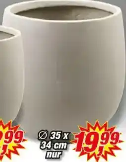 Posten Börse Blumentopf ,,Armin" Angebot