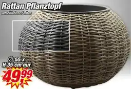 Posten Börse Rattan Pflanztopf Angebot