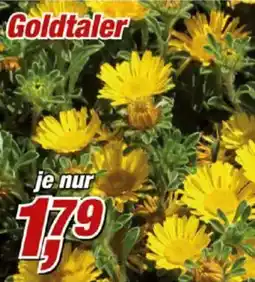 Posten Börse Goldtaler Angebot