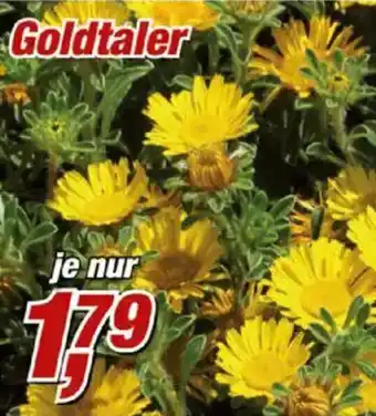 Posten Börse Goldtaler Angebot