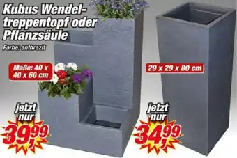 Posten Börse Kubus Wendeltreppentopf oder Pflanzsäule Angebot