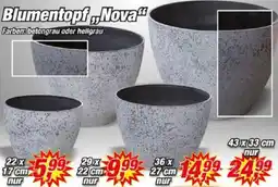 Posten Börse Blumentopf Nova Angebot