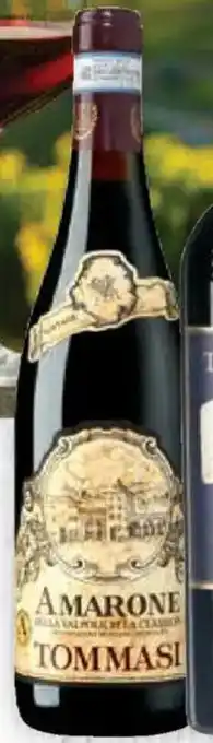 CITTI Markt Tommasi Amarone della Valpolicella Classico DOP Angebot
